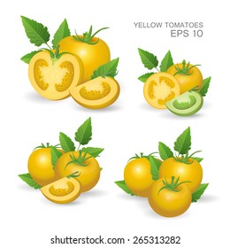 Vector illustration. Set of yellow fresh realistic tomatoes composition with leaves  isolated on white background