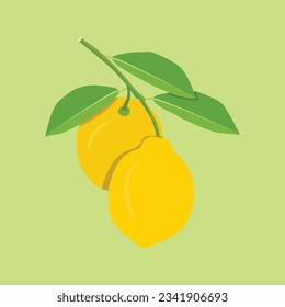 Ilustración vectorial de limón amarillo al estilo de las caricaturas. Frutos de limón con hojas y flores colgando en rama.  Partes enteras de la imagen naranja limón. Imagen cítrica de elementos para logotipo, icono, clipart, etc.