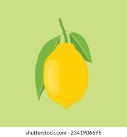 Vector illustration set of yellow lemon in cartoon style. Lemon fruit with leaf and flower hanging in branch.  Whole parts of lemon orange image. Elements citrus image for logo, icon, clipart etc.