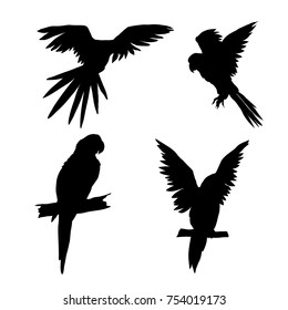 Vector illustration. Seth from parrots in different angles. Black silhouette