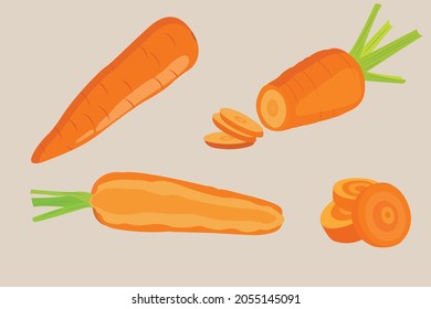 Vector illustration sets of carrots, sliced carrot, cooking illustration, cooking ingrident