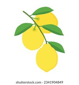 Vector illustration sets of yellow lemon in cartoon style. Lemon fruit with leaves hanging in branch.  Sliced or cut various parts of citrus lemon orange image. Elements for logo, icon, clipart etc.