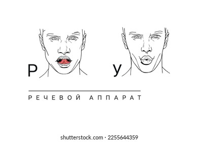 Vector illustration. Setting the tongue and lips during pronunciation. Text is a speech apparatus. Letters Р and У, Russian alphabet. Sketchy drawing. The face of a man. articulation. 
letters and sou