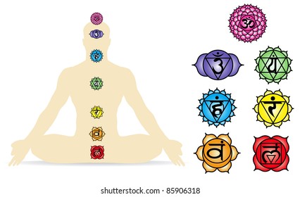 Vector illustration of the seven Chakra