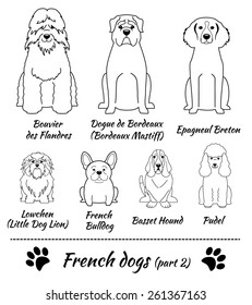 Vector Illustration of seven different breeds of dogs: Bouviev des Flandres, Dogue de Bordeaux (Bordeaux Mastiff), Epagneul Breton, Lowchen (Little Dog Lion), French Bulldog, Basset Hound, Pudel