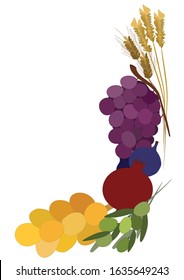A vector illustration of the seven species in which the land of Israel has been honored: Wheat, barley, vine, fig, pomegranate, olive, honey. In the shape of a frame on a white background.