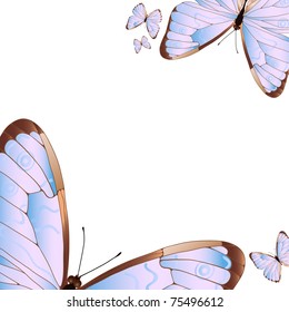 Vector illustration of several butterflies on a white background