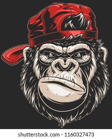 Vector illustration, severe gorilla in a baseball cap, head isolated, on a white background