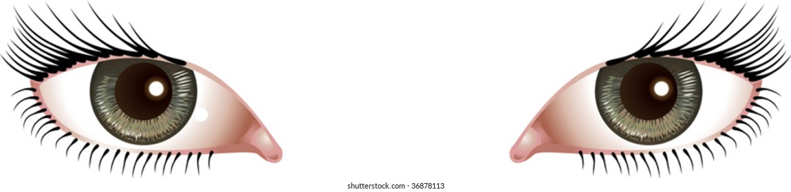 Vector illustration of a sexy woman's alluring beautiful eyes