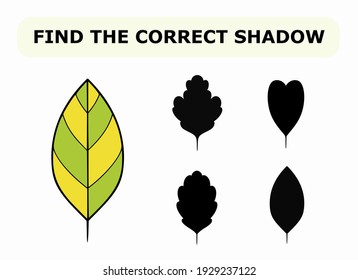 Vector illustration of shadow matching game for children. Vector isolated cartoon leaf on the white background. Learning activity.