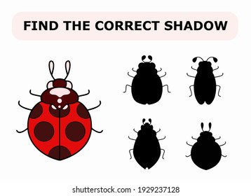 Vector illustration of shadow matching game for children. Vector isolated cartoon ladybug on the white background. Learning activity.