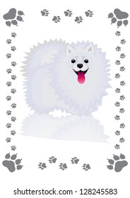 Vector illustration, shaggy, fluffy dog - Spitz, in the frame of the traces