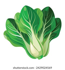 Vektor der Illustration Shanghai Bok Choy auf weiß