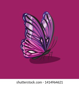 vector of illustration of the shape of the position of a butterfly wanting to fly