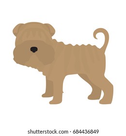 Vector illustration of shar pei dog. Isolated on white background.