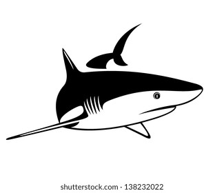 vector illustration of a shark