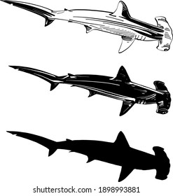 ilustración vectorial del tiburón