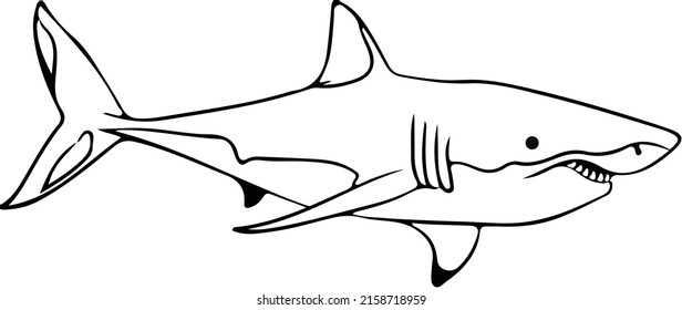 Ilustración vectorial de un tiburón