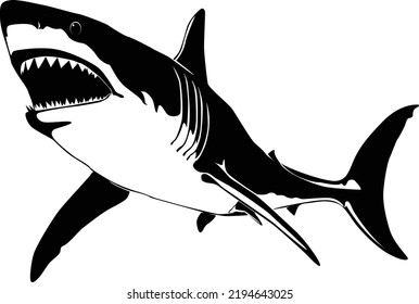 Vector illustration of a shark