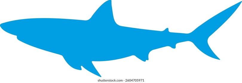 vector illustration of a shark