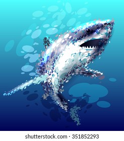 Vector illustration of a shark.