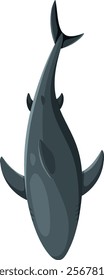 Vector illustration of a shark from above