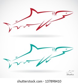 Vector illustration of shark banner on white background