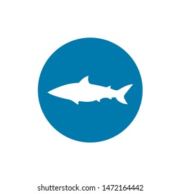 Vector illustration of shark based on hand-drawn sketch. Silhouette isolated on white background. Perfect for t-shirt design, poster, banner.