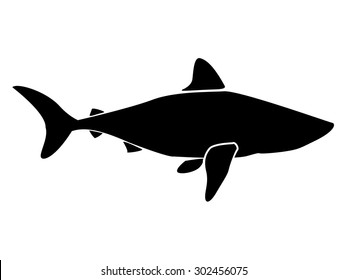 Vector illustration of shark. Vector illustration can be used for creating logo and emblem for fishing clubs, prints, web and other crafts.