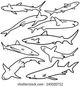 Vector illustration of shark collection isolated on white background.