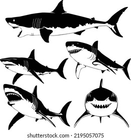 Vector illustration of shark and fish