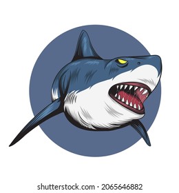 vector illustration of a shark hunting prey