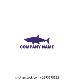 vector illustration of a shark icon logo