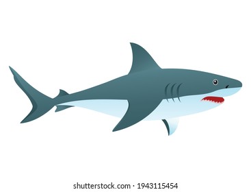 Vector Illustration of Shark isolated on white Background