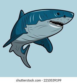 vector illustration a shark with many battle scars
