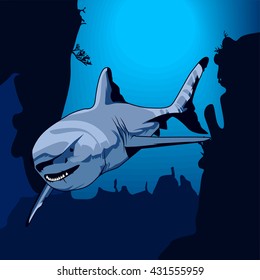 vector illustration of shark on the depth of the ocean