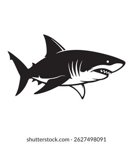 vector illustration of a shark on a white background