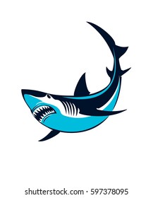 Vector illustration of a shark on a white background