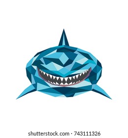 Vector illustration of shark with open mouth full of sharp teeth, isolated on a white background. Shark attacks from the water.