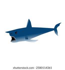 vector illustration shark in the sea