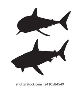 Vector Illustration of Shark Silhouette