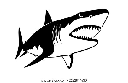 vector illustration, shark silhouette bottom view, black and white