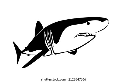 Vector Illustration Shark Silhouette Bottom View Stock Vector (Royalty ...