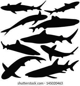 Vector illustration of shark silhouettes collection isolated on white background.