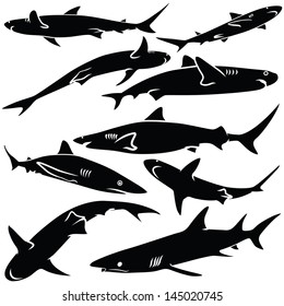 Vector illustration of shark silhouettes collection isolated on white background.