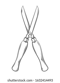 Vector illustration of shears gardening tools and utensils isolated on a white background, garden maintenance, landscaping and hobby concept, sketch style, line art.