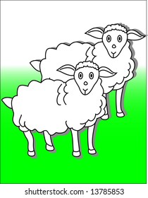 vector illustration of sheep