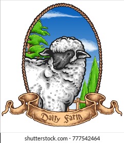 Vector illustration of sheep banner dairy farm