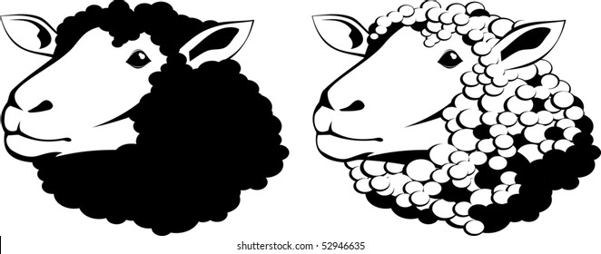 Vector illustration of a sheep black and white