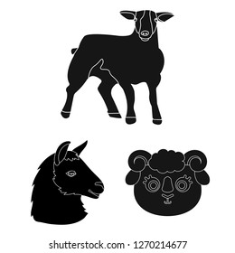 Vector illustration of sheep and goat icon. Set of sheep and happy  stock symbol for web.